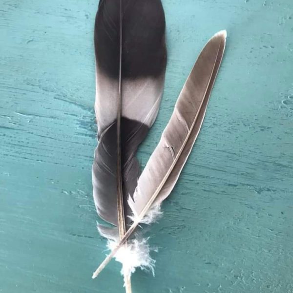 Feder - Authenticman Coaching, Katharina Engmann aus München